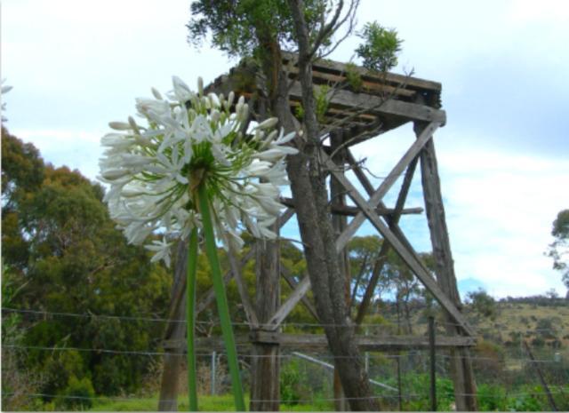 Redcliffe House Colonial Bed & Breakfast สวอนซี ห้อง รูปภาพ
