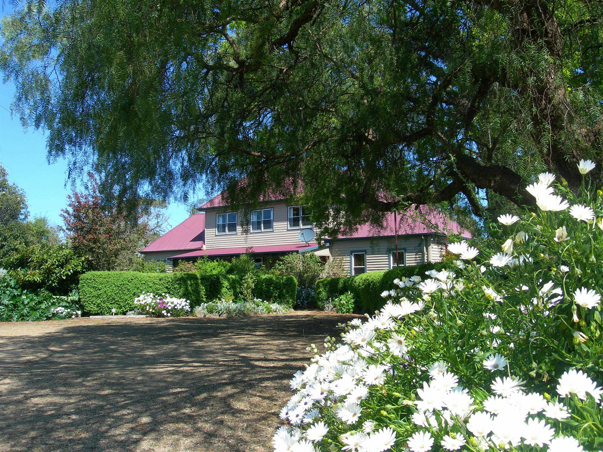 Redcliffe House Colonial Bed & Breakfast สวอนซี ภายนอก รูปภาพ